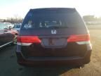 2010 Honda Odyssey EX