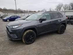 2021 Toyota Rav4 LE en venta en York Haven, PA