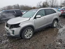 Salvage cars for sale at Chalfont, PA auction: 2015 KIA Sorento EX