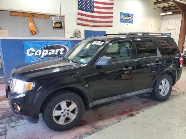 2009 Ford Escape XLT