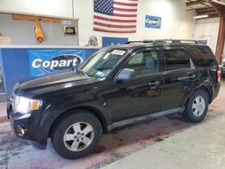 Salvage cars for sale from Copart Angola, NY: 2009 Ford Escape XLT