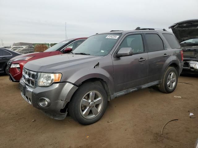 2010 Ford Escape Limited