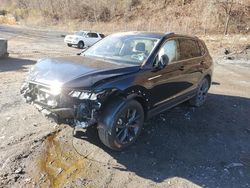 Salvage cars for sale from Copart Marlboro, NY: 2024 Volkswagen Tiguan SE