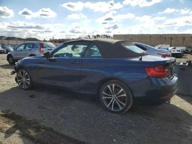 2016 BMW 228 XI Sulev