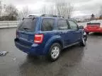 2008 Ford Escape XLT