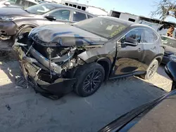 Lexus nx 250 pre salvage cars for sale: 2025 Lexus NX 250 Premium