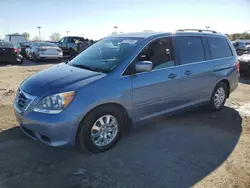 Salvage cars for sale at Indianapolis, IN auction: 2010 Honda Odyssey EX