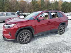 Salvage cars for sale at Gainesville, GA auction: 2024 Toyota Rav4 XLE Premium