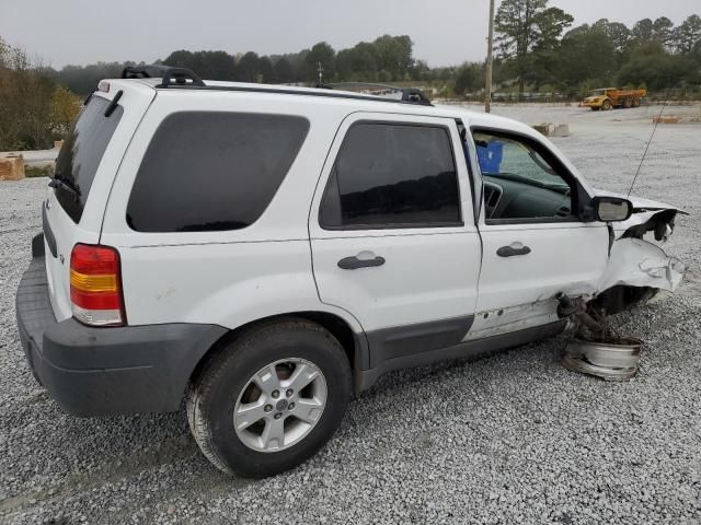 2007 Ford Escape XLT