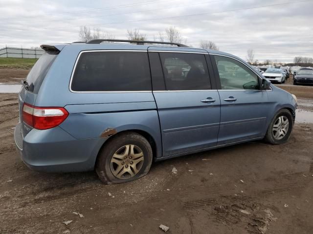 2005 Honda Odyssey EXL