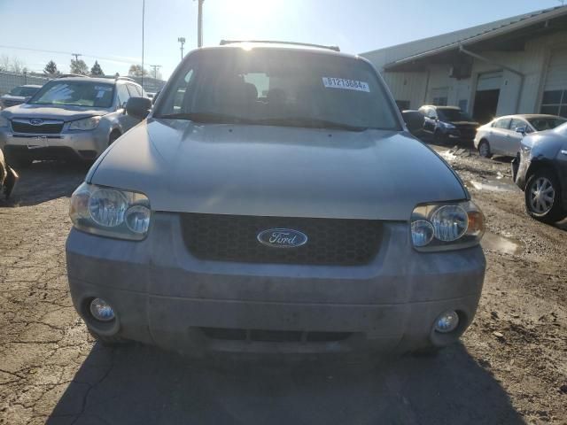 2007 Ford Escape XLT