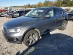 2014 Audi Q5 TDI Premium Plus