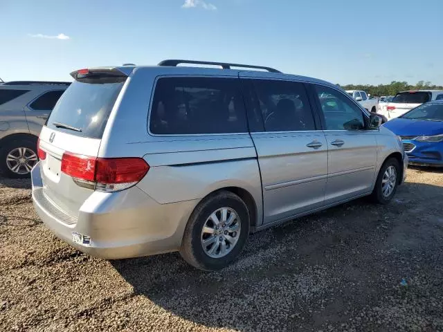 2010 Honda Odyssey EXL