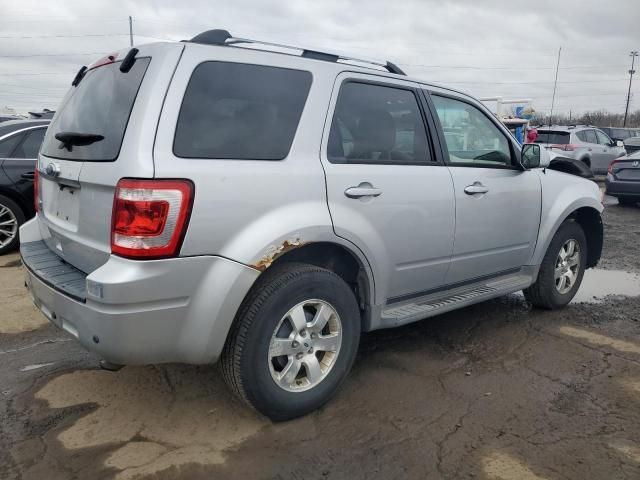 2010 Ford Escape Limited