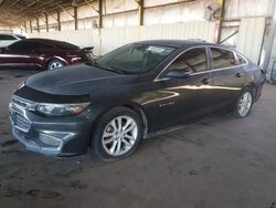 Salvage cars for sale at Phoenix, AZ auction: 2016 Chevrolet Malibu LT