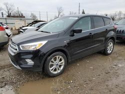 Ford Escape salvage cars for sale: 2019 Ford Escape SE