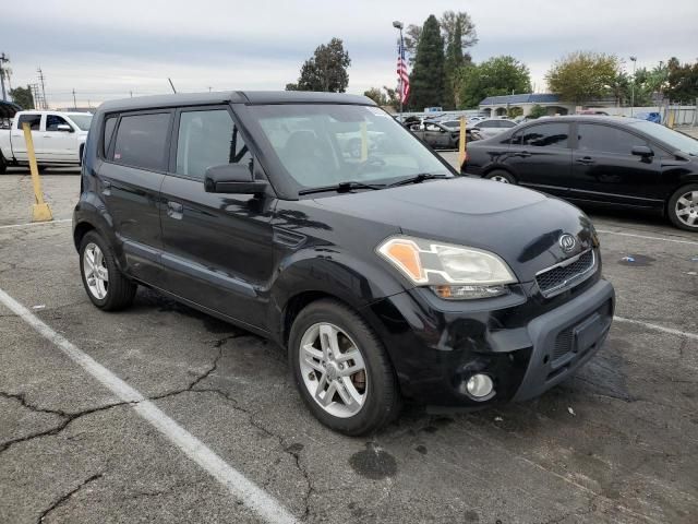 2010 KIA Soul +