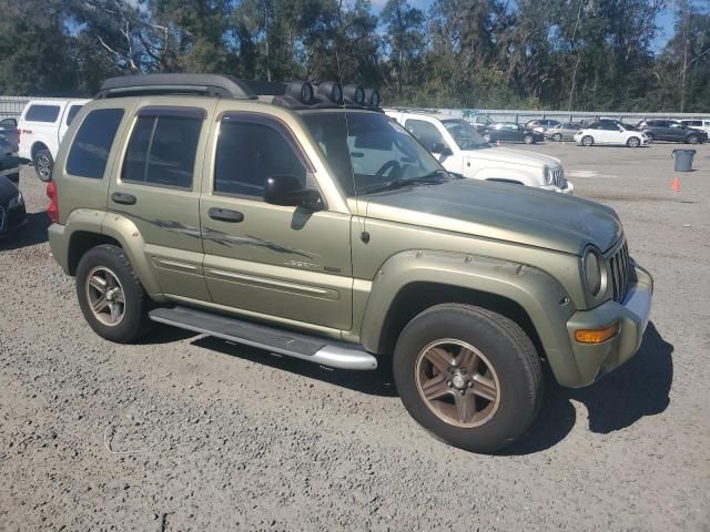 2003 Jeep Liberty Renegade