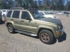 2003 Jeep Liberty Renegade