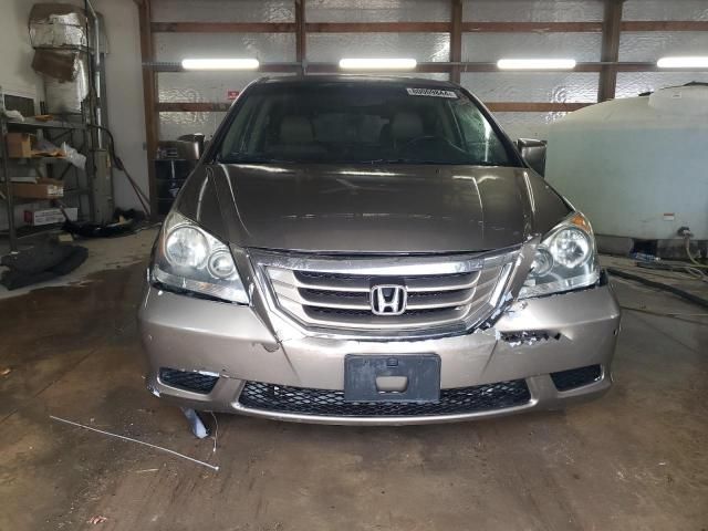 2010 Honda Odyssey EXL