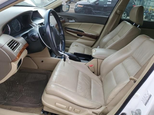 2009 Honda Accord EXL