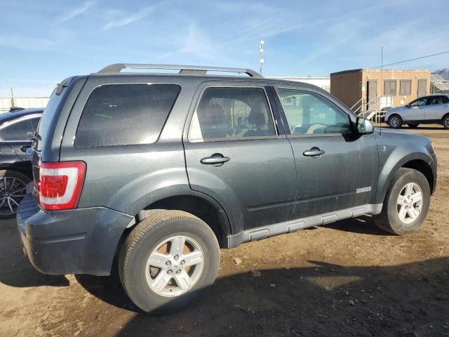 2008 Ford Escape HEV