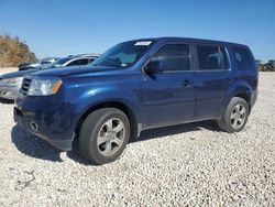 Honda Pilot Vehiculos salvage en venta: 2013 Honda Pilot Exln