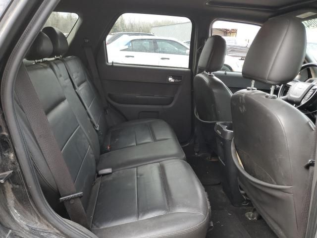 2008 Ford Escape Limited