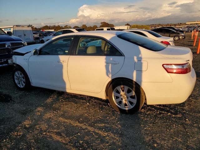 2009 Toyota Camry Hybrid