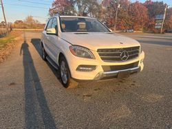 Mercedes-Benz salvage cars for sale: 2014 Mercedes-Benz ML 350 4matic