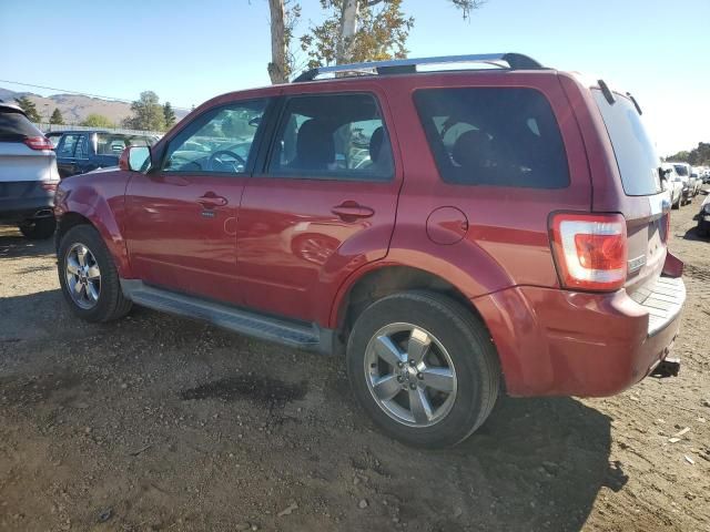 2009 Ford Escape Limited