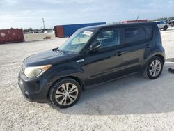 Salvage cars for sale at Arcadia, FL auction: 2014 KIA Soul +