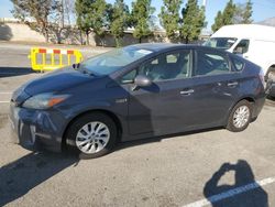 Salvage cars for sale from Copart Rancho Cucamonga, CA: 2013 Toyota Prius PLUG-IN