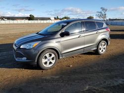 Ford Vehiculos salvage en venta: 2015 Ford Escape SE