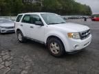 2012 Ford Escape XLS