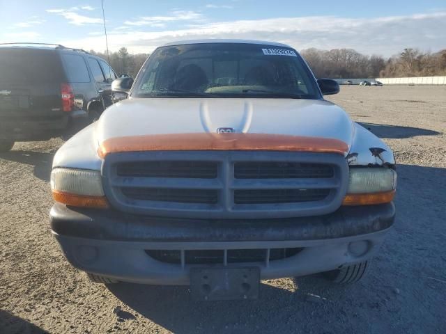 1999 Dodge Dakota