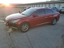 Salvage cars for sale at Louisville, KY auction: 2015 Hyundai Sonata SE