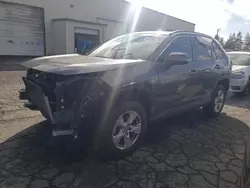 Salvage cars for sale at Woodburn, OR auction: 2019 Toyota Rav4 XLE