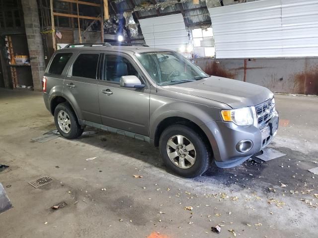 2011 Ford Escape Limited