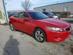 2010 Honda Accord EX