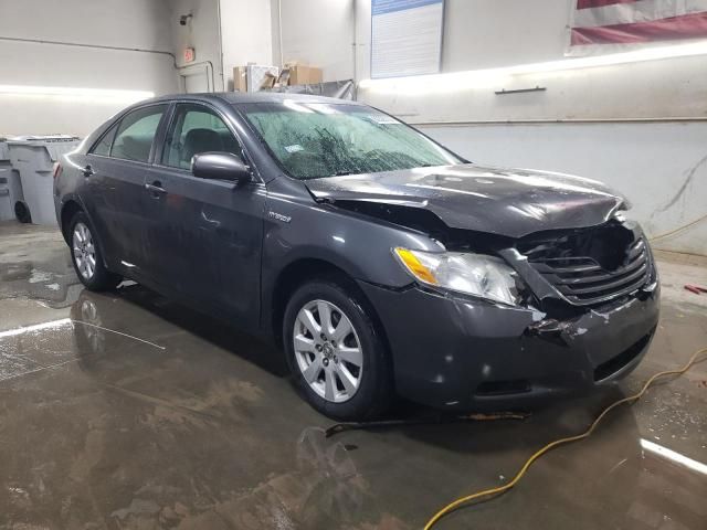 2009 Toyota Camry Hybrid