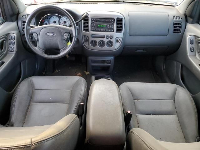 2004 Ford Escape XLT