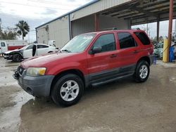 2005 Ford Escape XLT en venta en Riverview, FL