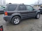 2007 Ford Escape XLT