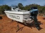 1993 Robalo Boat