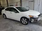 2010 Acura TSX