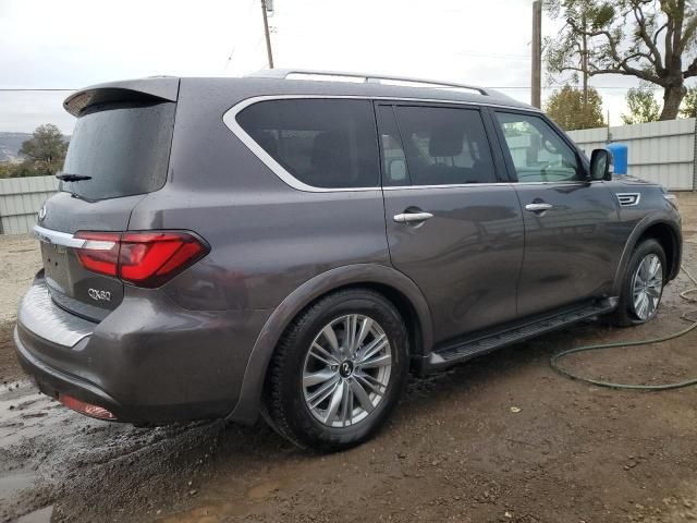 2024 Infiniti QX80 Luxe