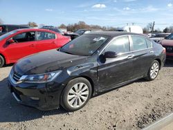 Salvage cars for sale at Hillsborough, NJ auction: 2015 Honda Accord EXL