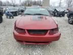 2003 Ford Mustang