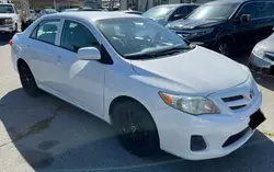 Salvage cars for sale at Rancho Cucamonga, CA auction: 2013 Toyota Corolla Base